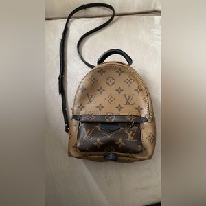 COPY - COPY - Louis Vuitton Palm Springs Mini